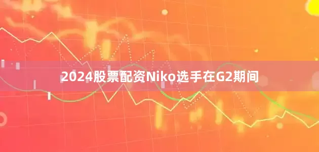 2024股票配资Niko选手在G2期间