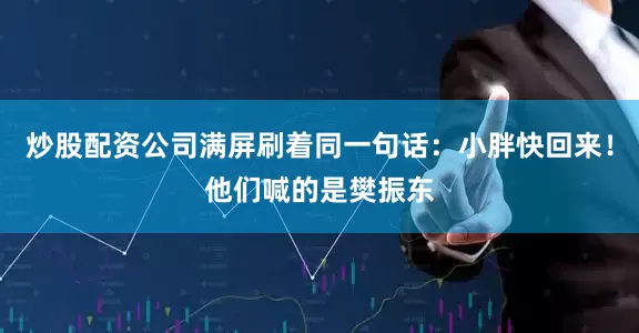 炒股配资公司满屏刷着同一句话：小胖快回来！他们喊的是樊振东