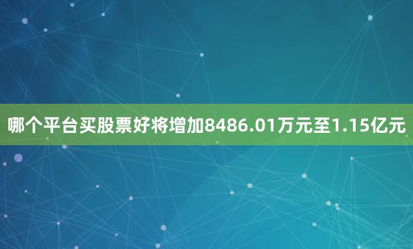 哪个平台买股票好将增加8486.01万元至1.15亿元